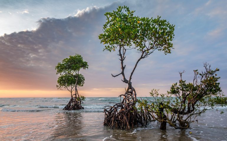 sunset-2947819_1920-770x480-2241655